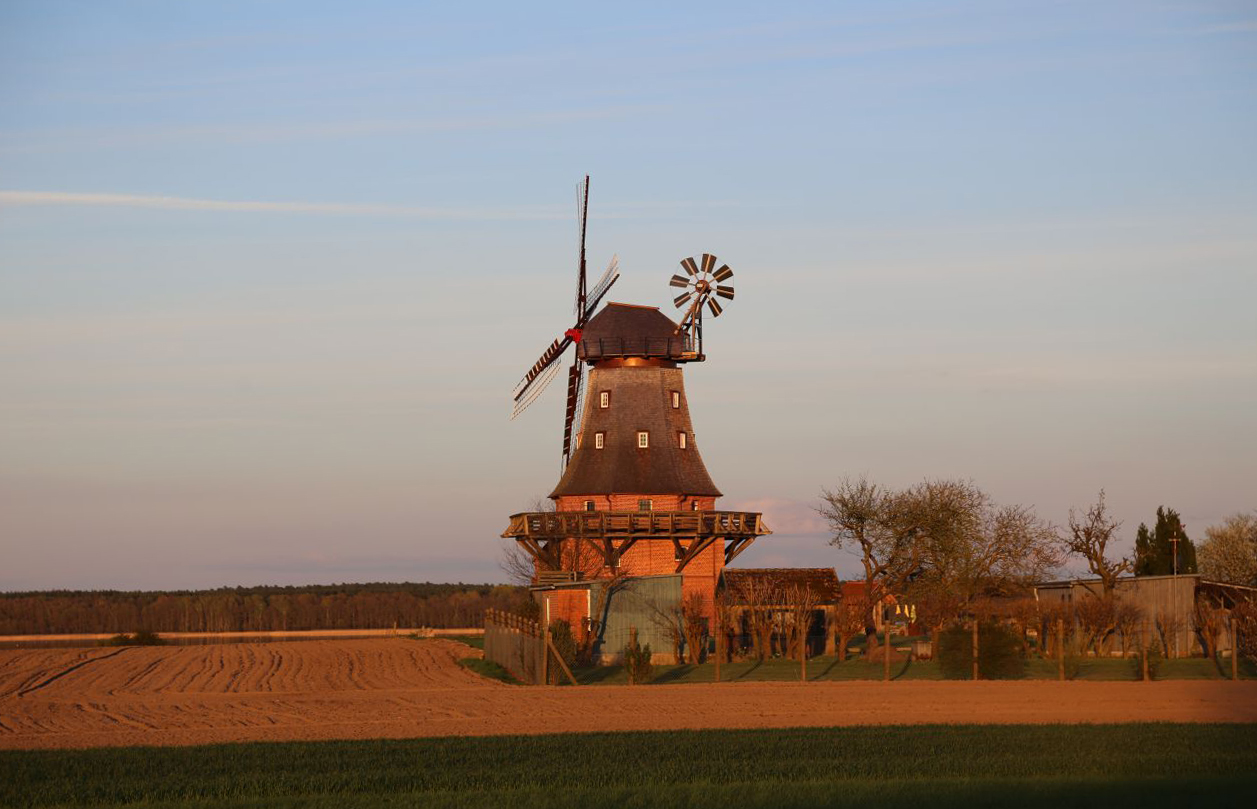 Windmühle an einem Feld